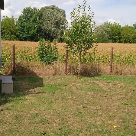 Maringotka U Lesa Chalé